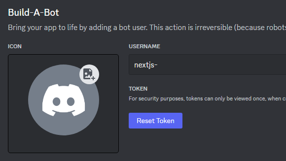 Screenshot of discord bot token setup